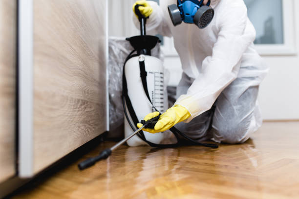 Best Pest Removal Services  in Harriman, NY