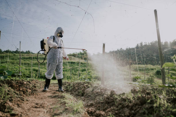 Professional Pest Control in Harriman, NY