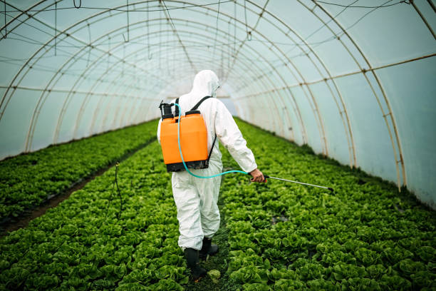 Best Pest Prevention Services  in Harriman, NY
