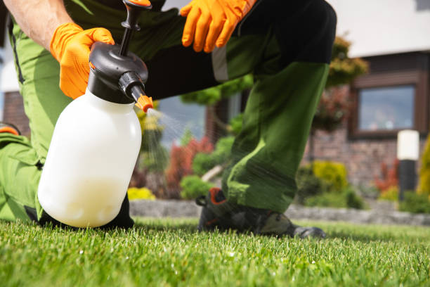 Best Mosquito Control Services  in Harriman, NY