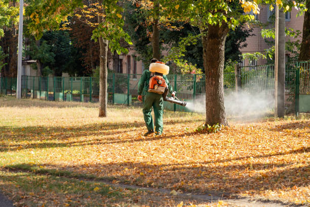 Best Pest Removal Services  in Harriman, NY