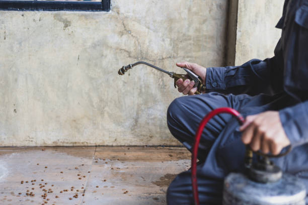 Best Local Pest Control Services  in Harriman, NY