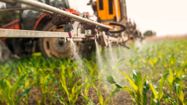Best Ant Control Services  in Harriman, NY
